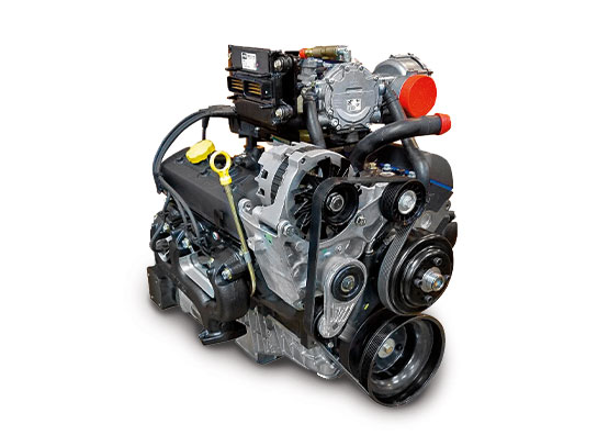 4.3 Liter V6 LPG Engine
